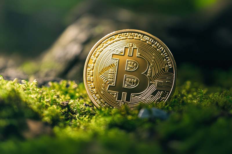 عکس بیت کوین در محیط سر سبز