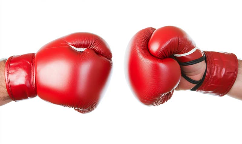عکس زیبا از دست دادن بوکسور ها