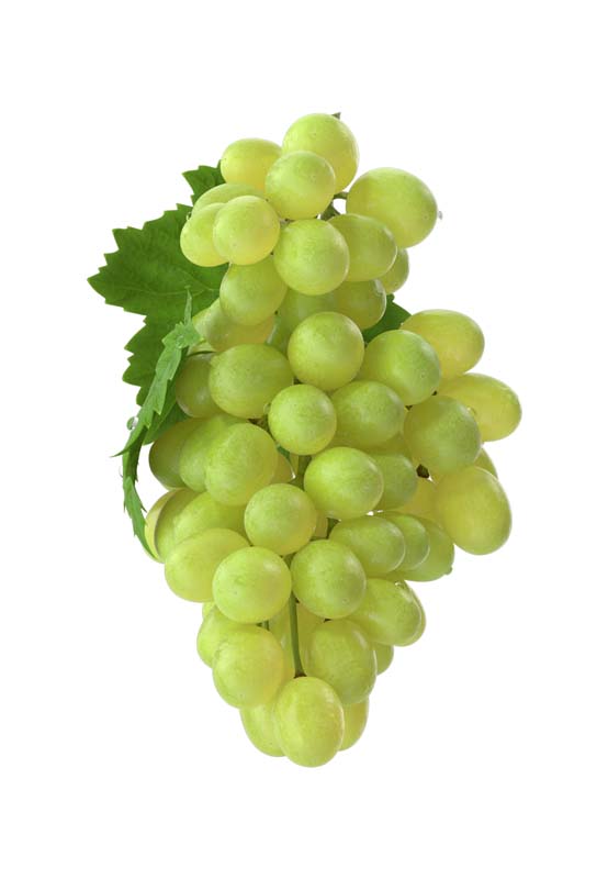 طرح دوربری شده انگور سبز رنگ