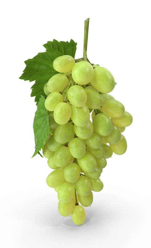 طرح دوربری شده خوشه انگور