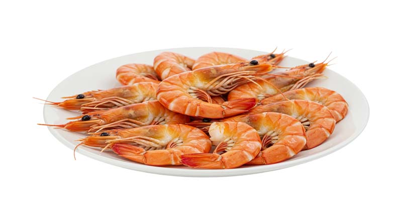 طرح دوربری شده بشقاب میگو
