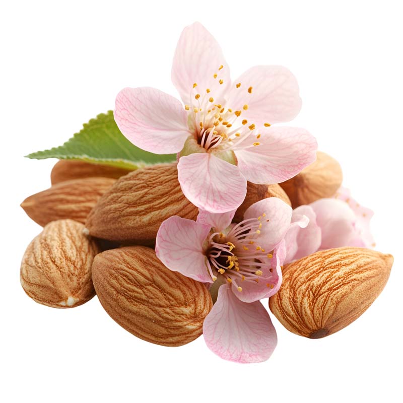 طرح دوربری شده از مغز بادام و شکوفه