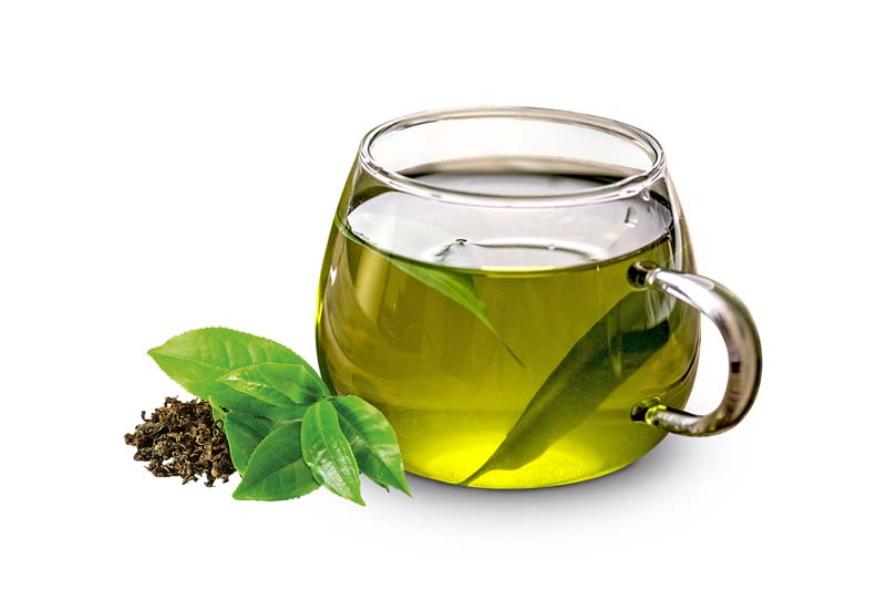 دانلود طرح چای سبز