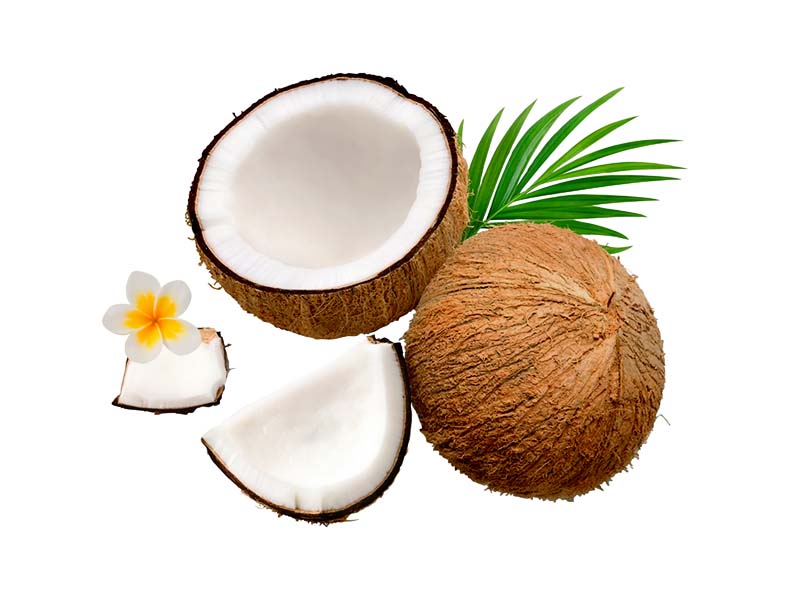 دانلود طرح نارگیل برش خورده