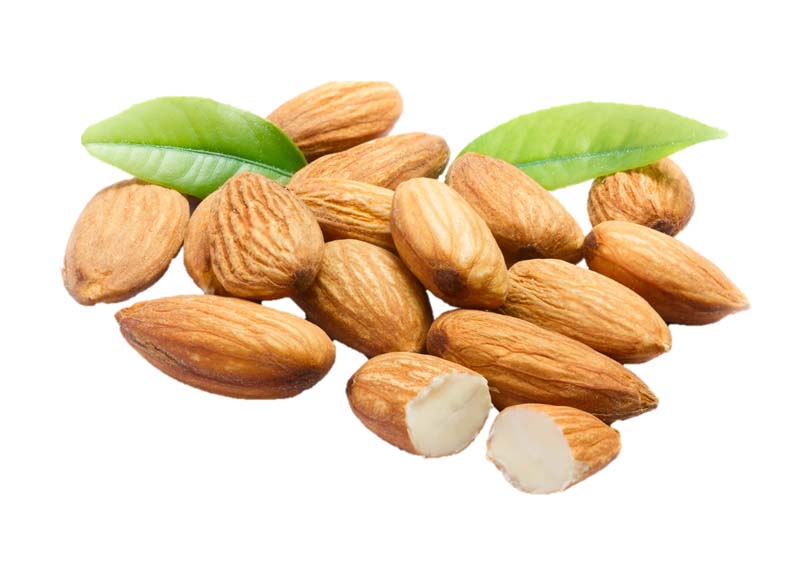 دانلود طرح مغز بادام با برگ سبز