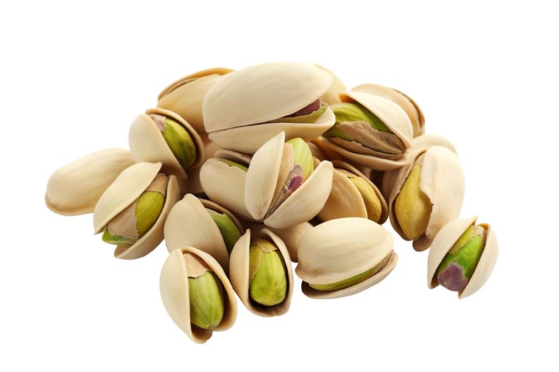 دانلود طرح پسته اکبری