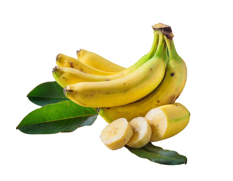 دانلود طرح موز حلقه شده