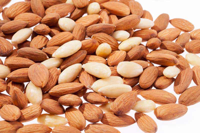 تصویر لارج فرمت از مغز بادام