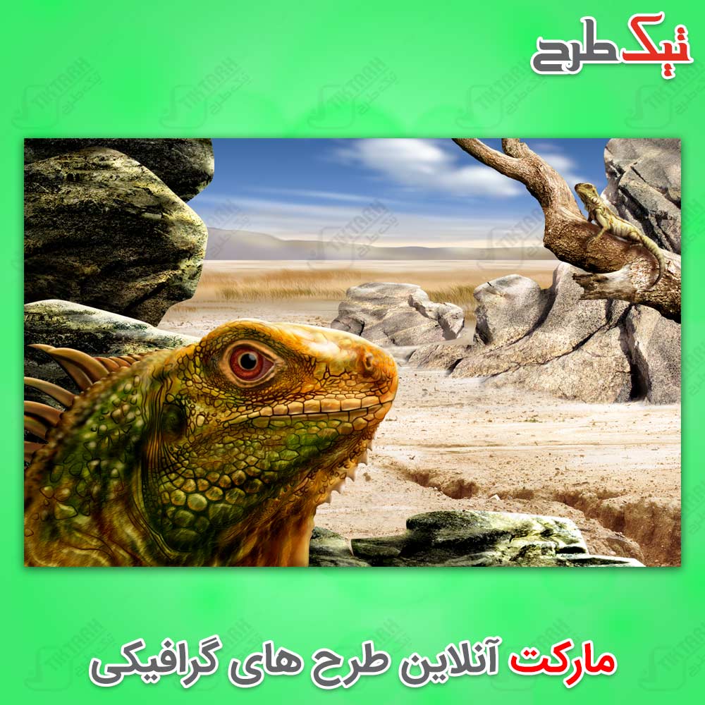 تصویر پس زمینه لایه باز آفتاب پرست