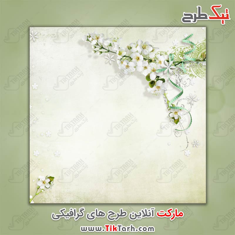 دانلود عکس پس زمینه گل