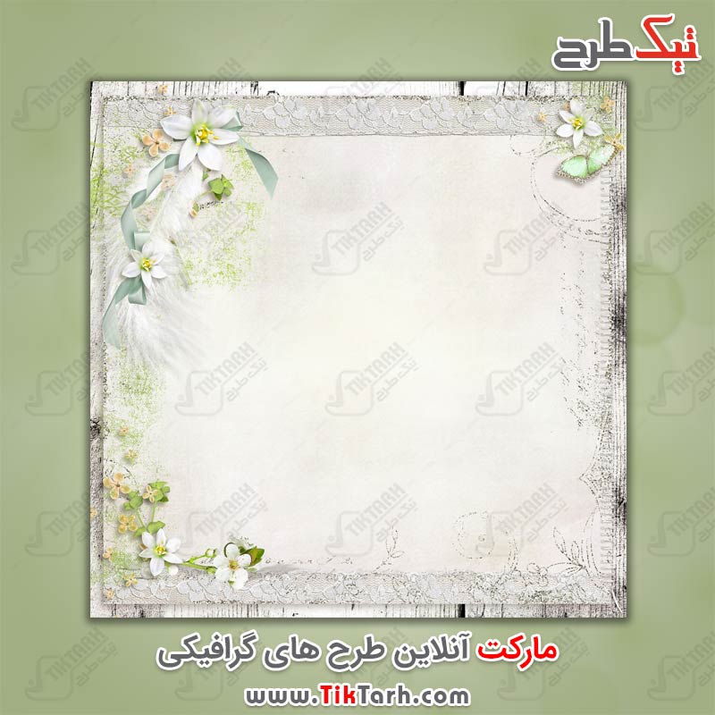 دانلود عکس پس زمینه گل سفید