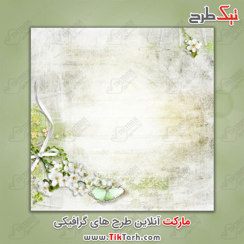 دانلود عکس پس زمینه طرح پروانه