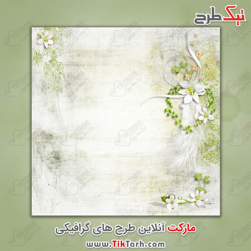 عکس پس زمینه طرح گل سفید زیبا