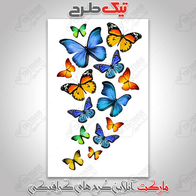 عکس با کیفیت پروانه های رنگی