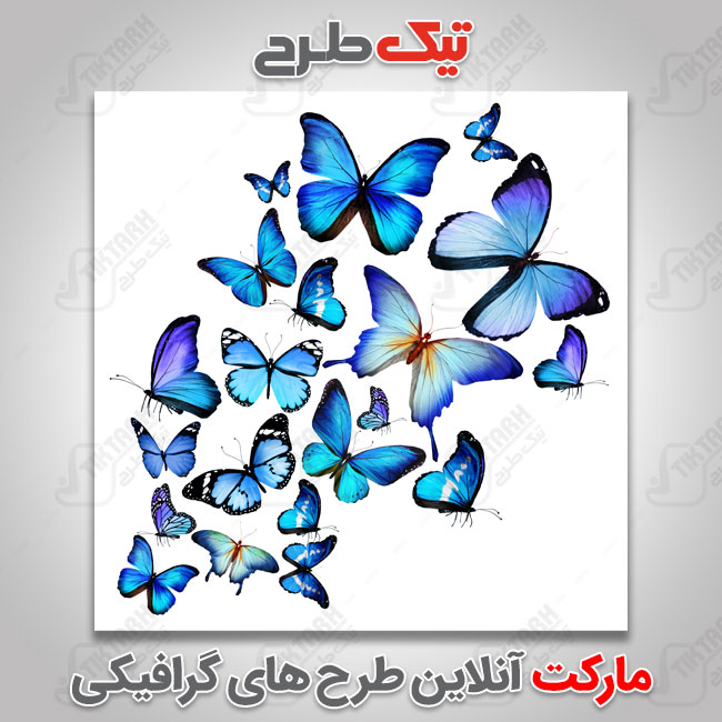 دانلود عکس گرافیکی پروانه های آبی