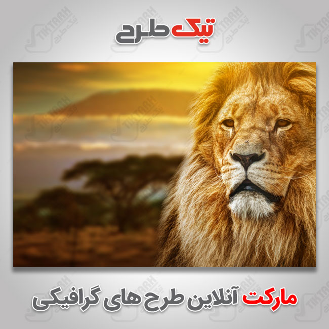 عکس با کیفیت شیر قهوه ای