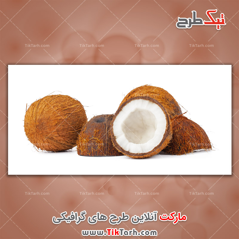 تصاویر لارج فرمت نارگیل