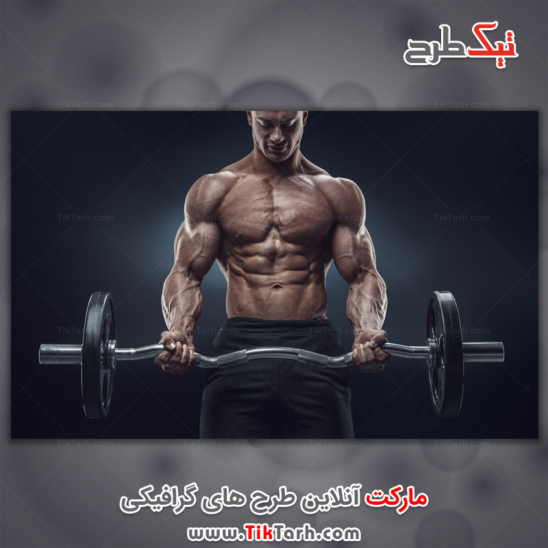 عکس با کیفیت هالتر ای زد