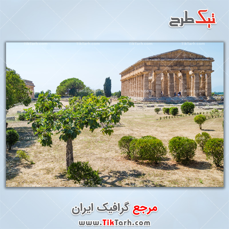 دانلود تصویر لارج فرمت معبد یونانی شهر پستام ایتالیا