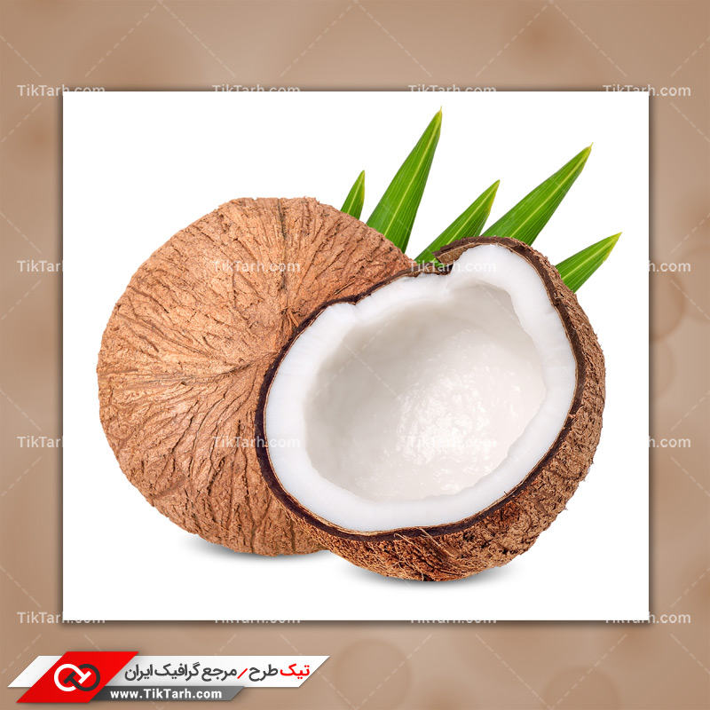 دانلود تصویر با کیفیت نارگیل نصف شده و برگ