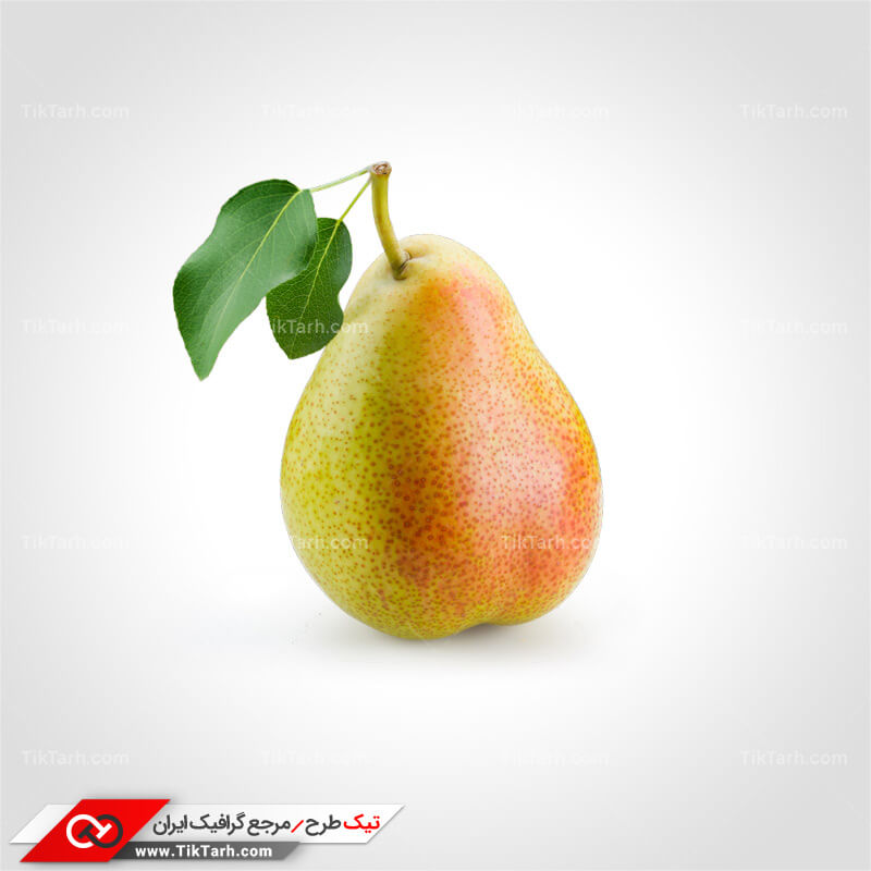 دانلود طرح لایه باز گلابی با برگ سبز