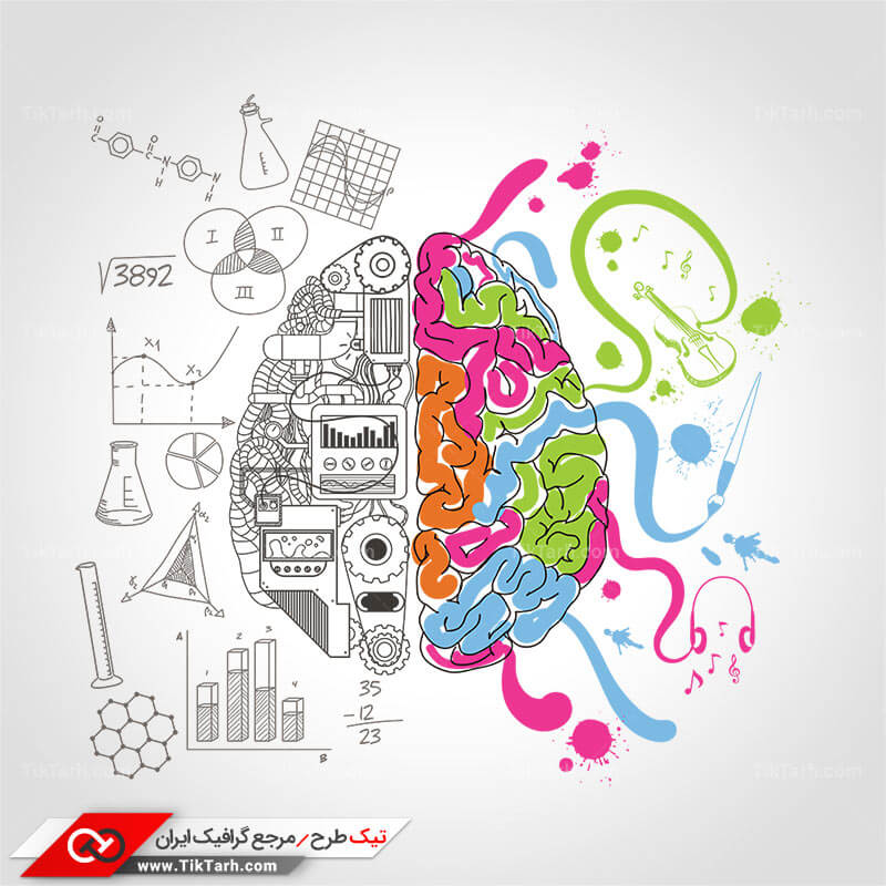 دانلود کلیپ آرت نیمکره راست و چپ مغز