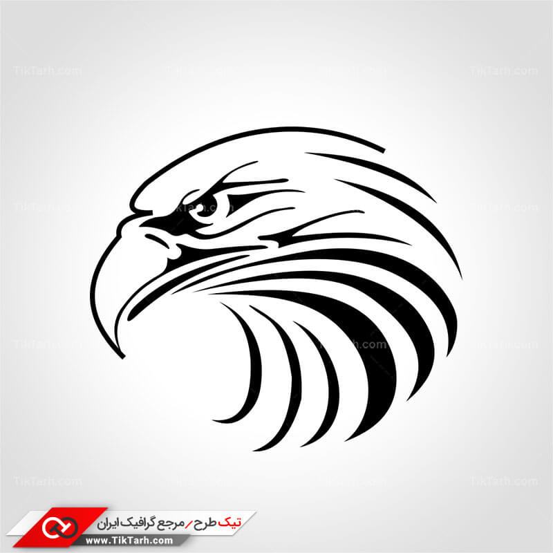 دانلود کلیپ آرت عقاب