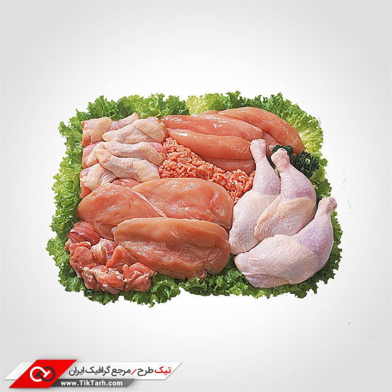 دانلود طرح گرافیکی گوشت مرغ