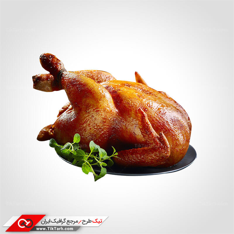 دانلود طرح گرافیکی مرغ سوخاری شکم پر