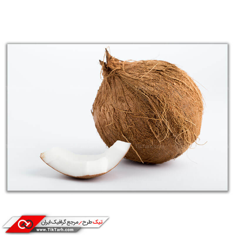 تصویر باکیفیت نارگیل