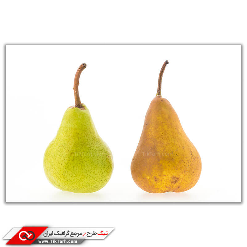 دانلود تصویر باکیفیت گلابی