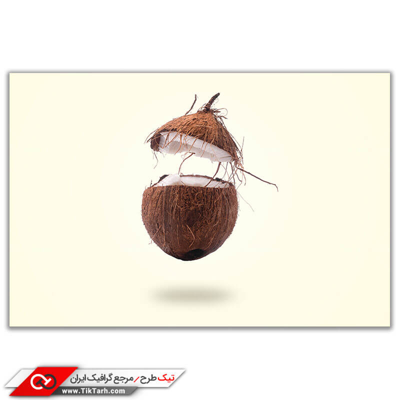 تصویر باکیفیت از میوه نارگیل