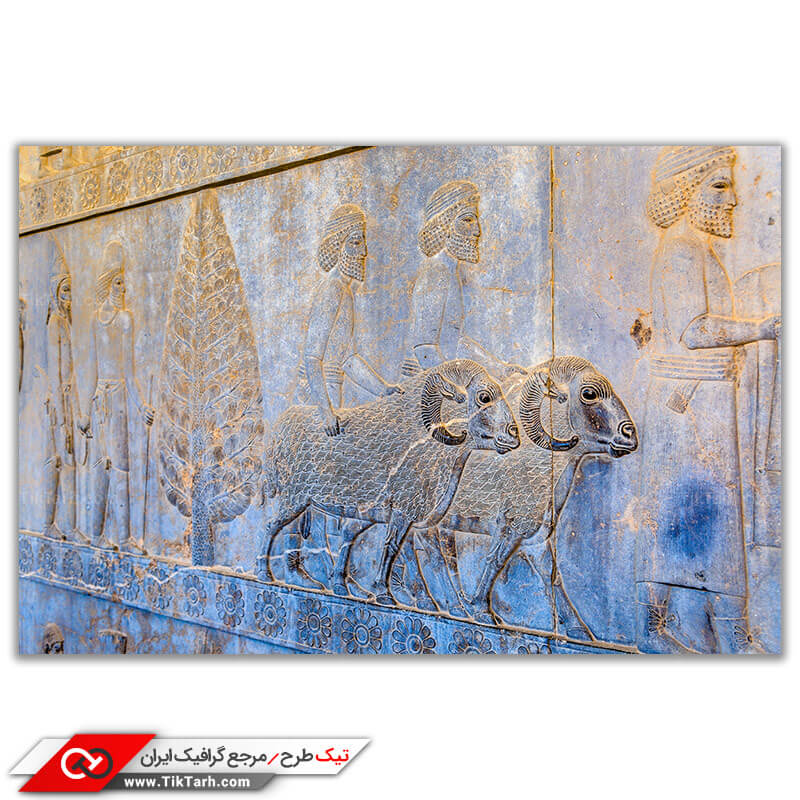تصویر باکیفیت از حکاکی های تخت جمشید