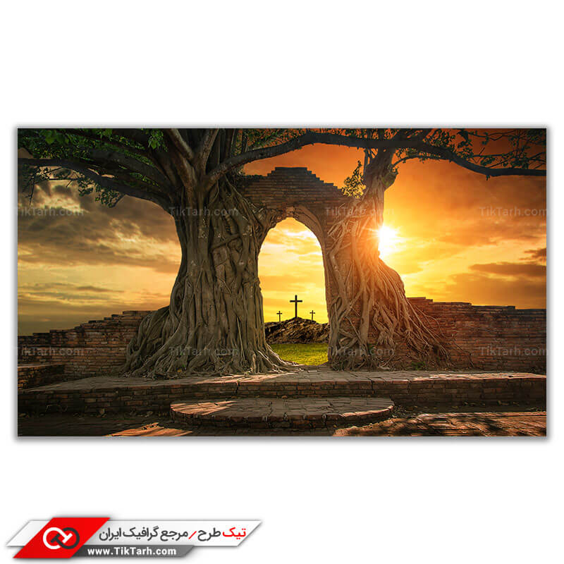 عکس باکیفیت از آرامگاه مسیحی پوشیده از درختان