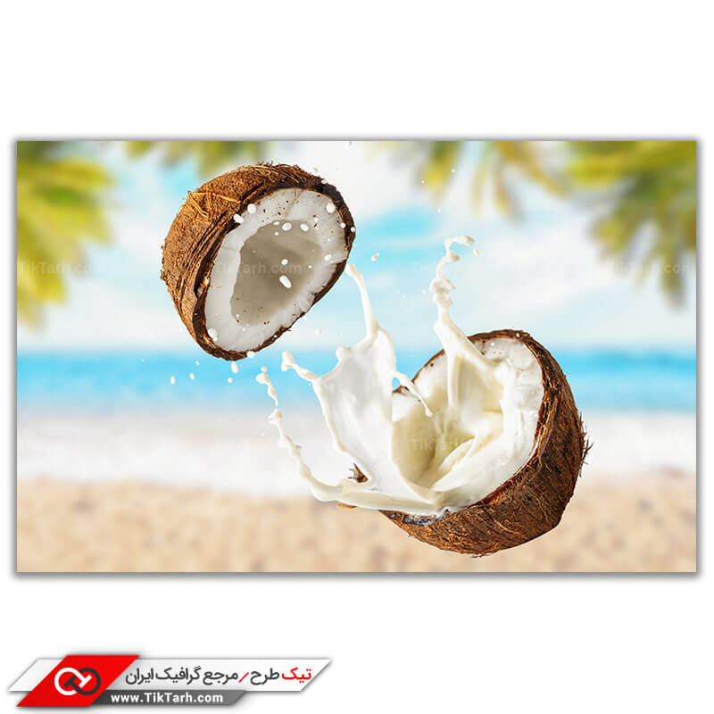 دانلود تصویر باکیفیت از میوه نارگیل