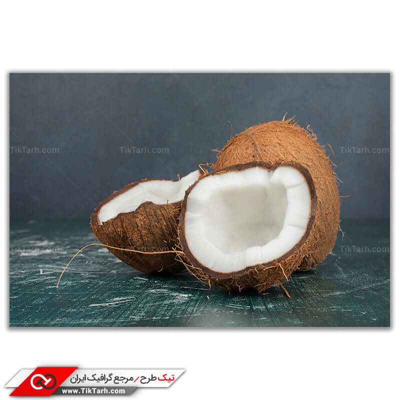 عکس باکیفیت از نارگیل