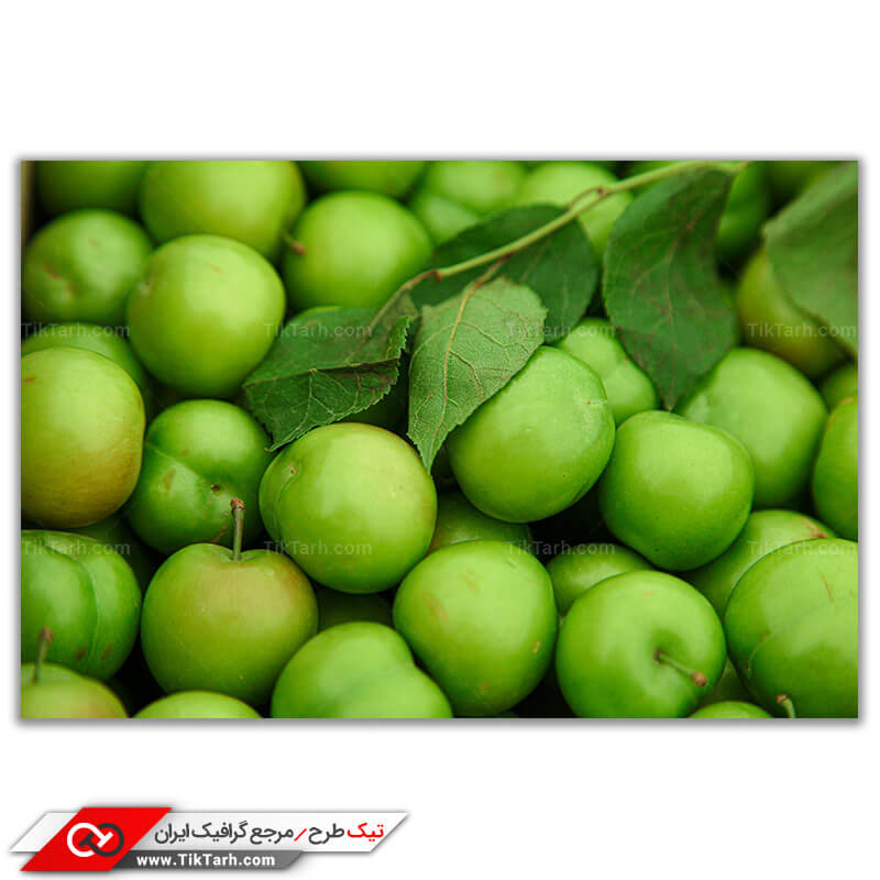 دانلود عکس زیبا و باکیفیت از گوجه سبز