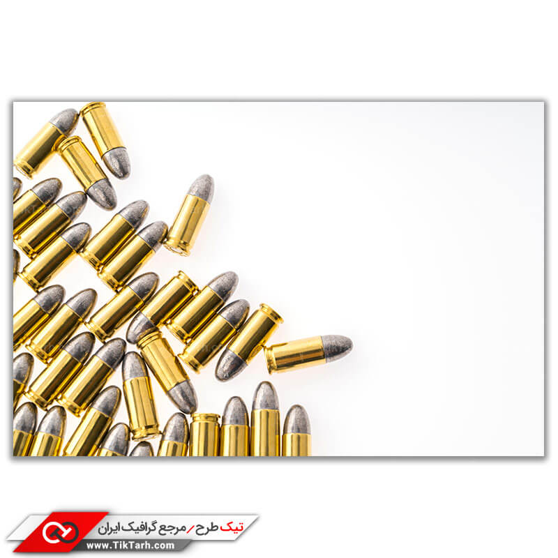 دانلود عکس با کیفیت فشنگ ها