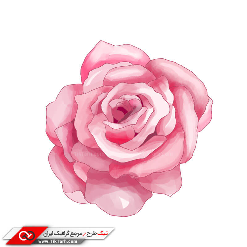 طرح کلیپ آرت گل محمدی