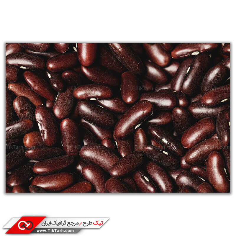 عکس گرافیکی لارج فرمت لوبیا قرمز تیره