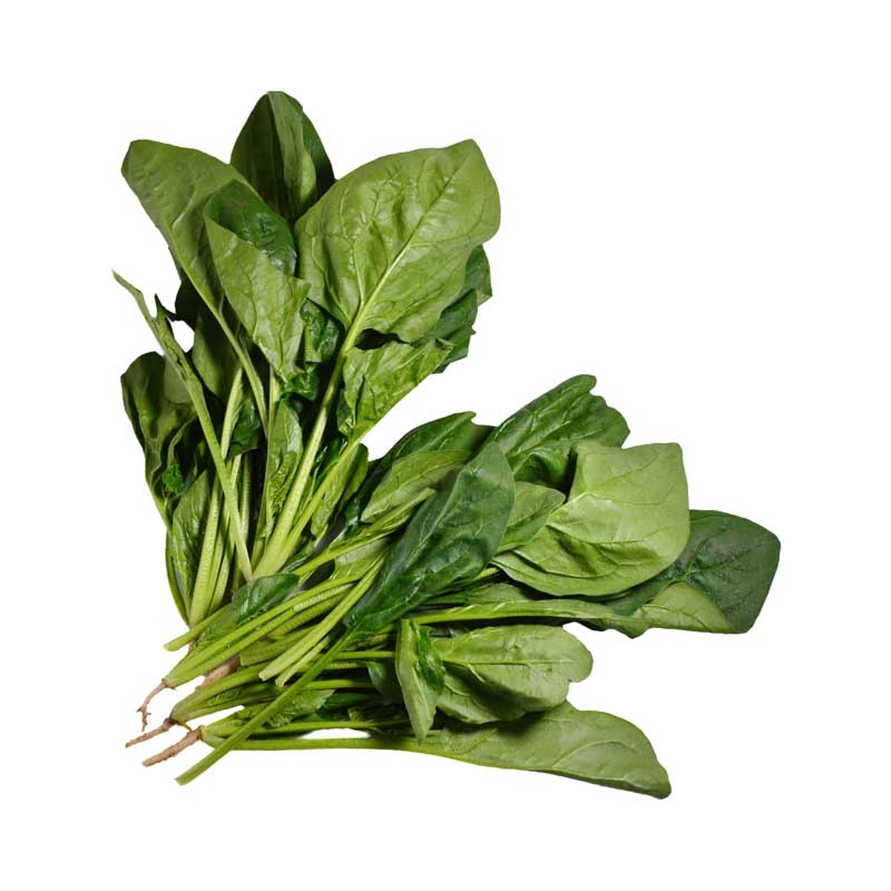 طرح باکیفیت سبزی اسفناج