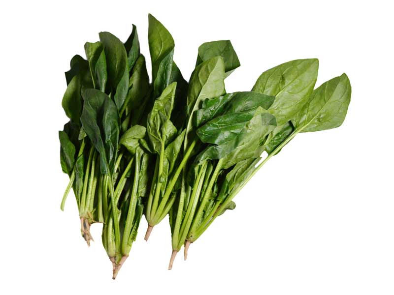 طرح گرافیکی سبزی اسفناج