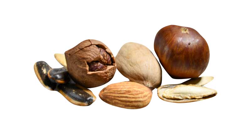 طرح آجیل و خشکبار