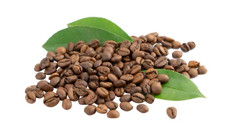 طرح دانه های قهوه کنار برگ