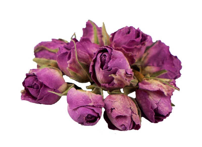 طرح گرافیکی گل محمدی خشک