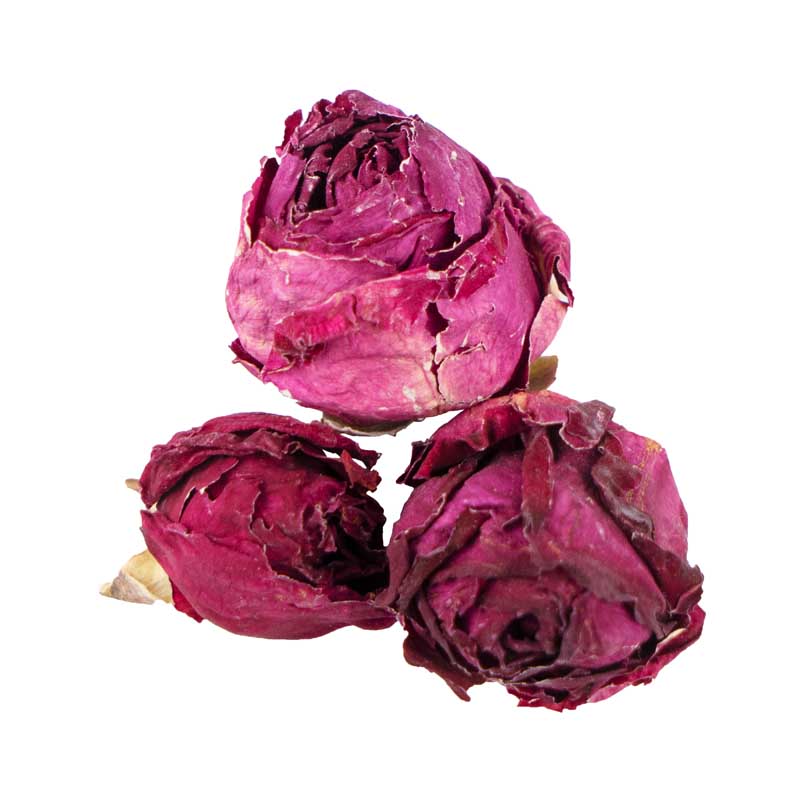 دانلود طرح گرافیکی با کیفیت گل محمدی خشک