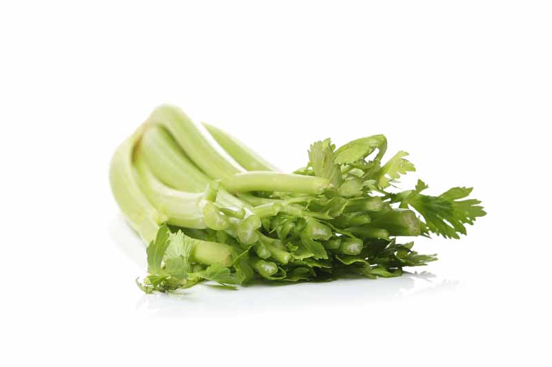 دانلود عکس کرفس
