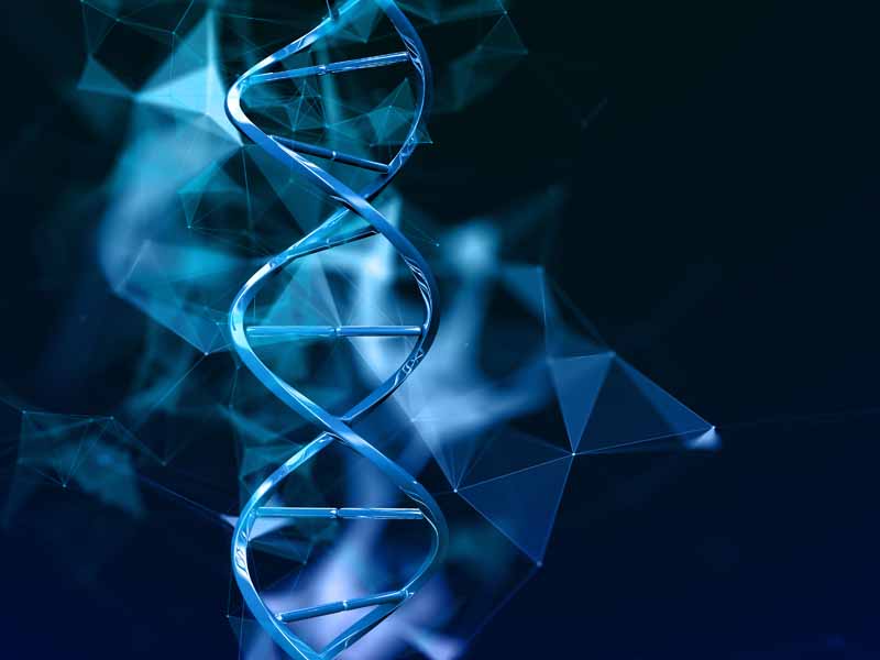 دانلود تصویر DNA