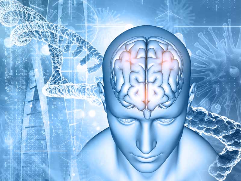 تصویر باکیفیت DNA و مغز انسان