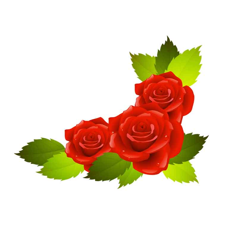 طرح کلیپ آرت گل های رز سرخ